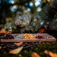 Autumn Light